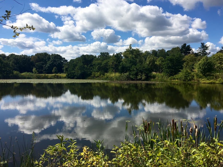 764 East Hill Rd Photo 4