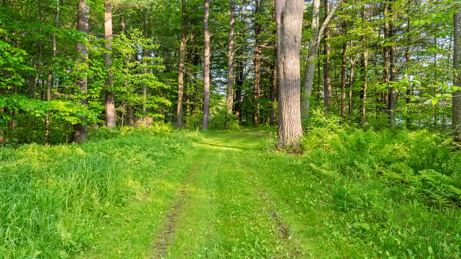 764 East Hill Rd Photo 60