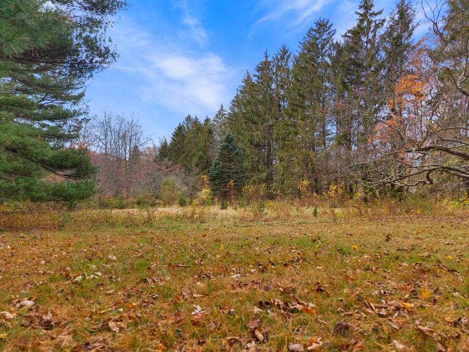 247 C Old Toll Road Photo 2