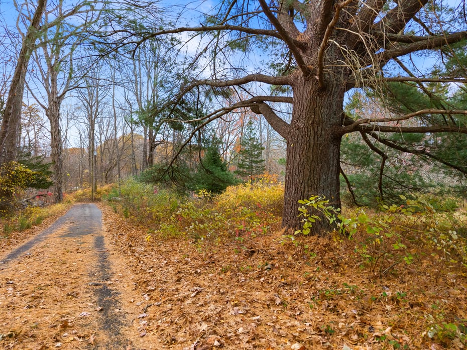 247 C Old Toll Road Photo 6