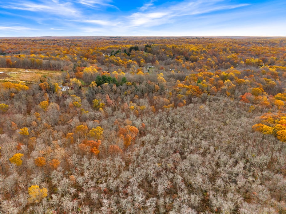 247 C Old Toll Road Photo 11