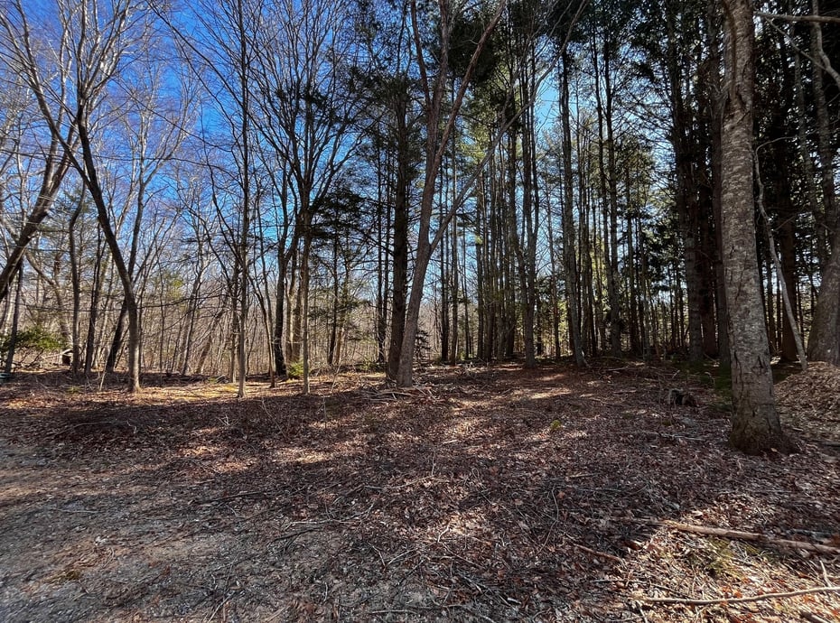 41-1 Whippoorwill Road Photo 1