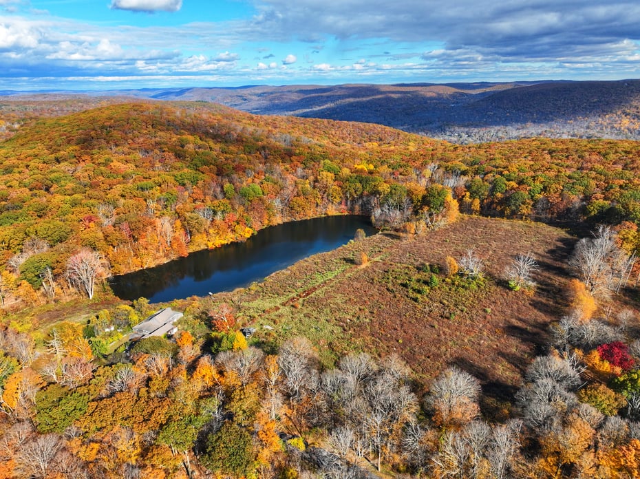 308 Skiff Mountain Road Photo 6