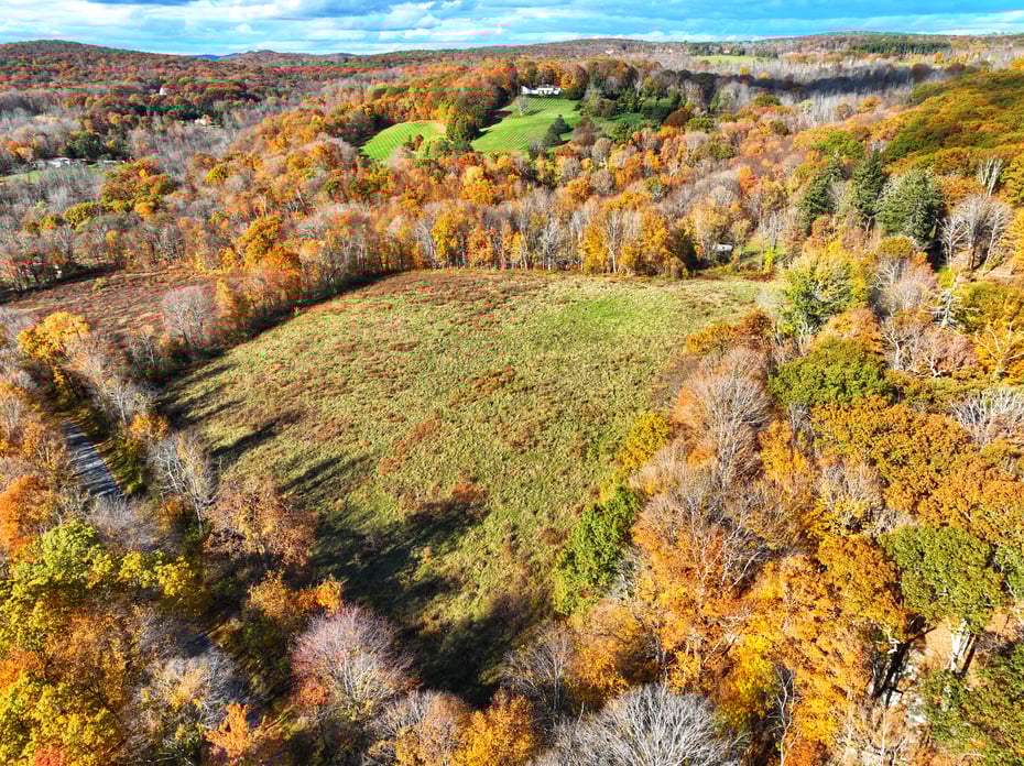 308 Skiff Mountain Road Photo 8