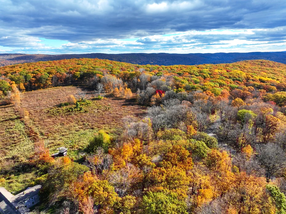 308 Skiff Mountain Road Photo 9