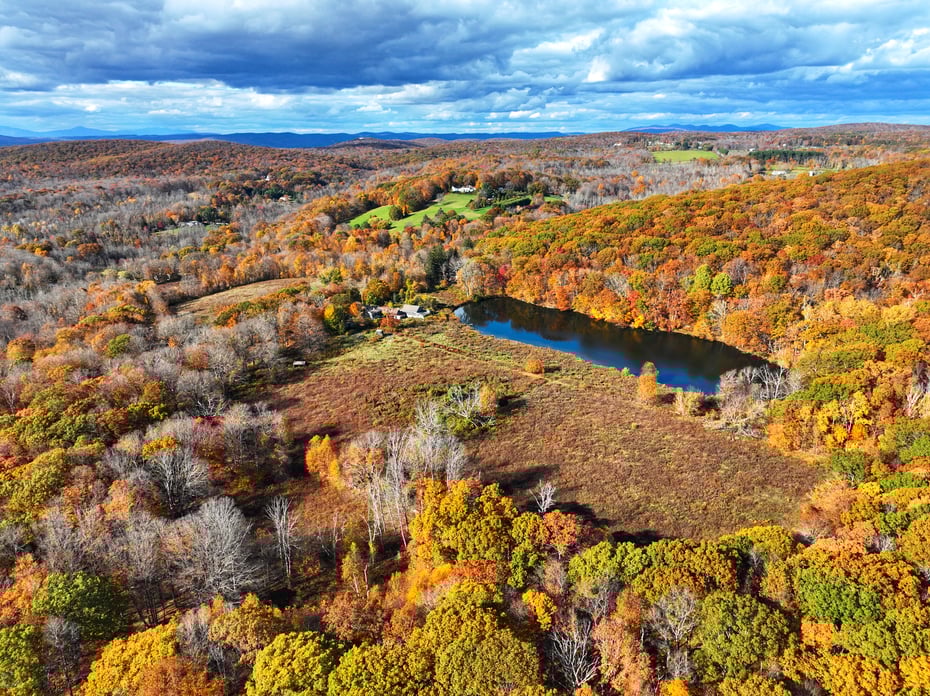 308 Skiff Mountain Road Photo 10