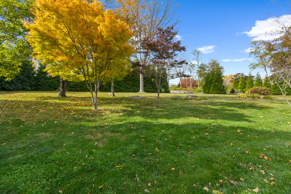 15 Elm Street Photo 20