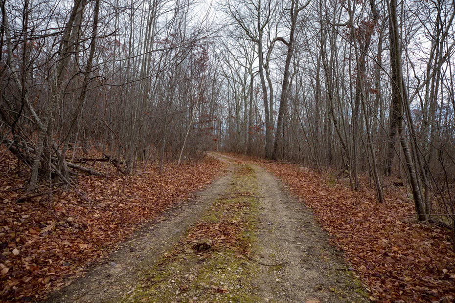 Swaller Hill Road Photo 17