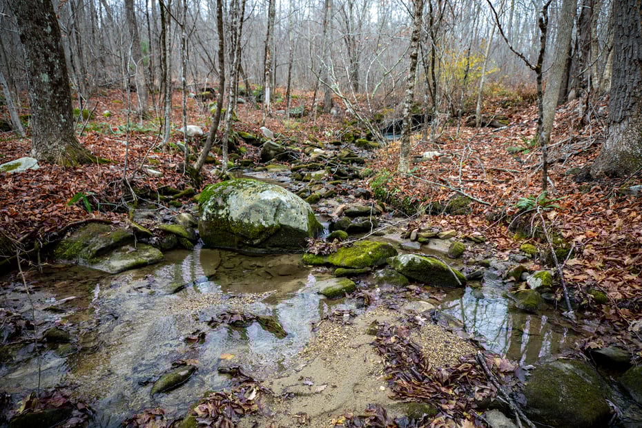 Swaller Hill Road Photo 20