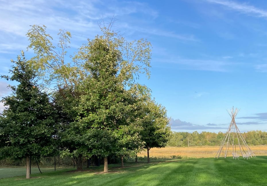 5 Outer Road Photo 13