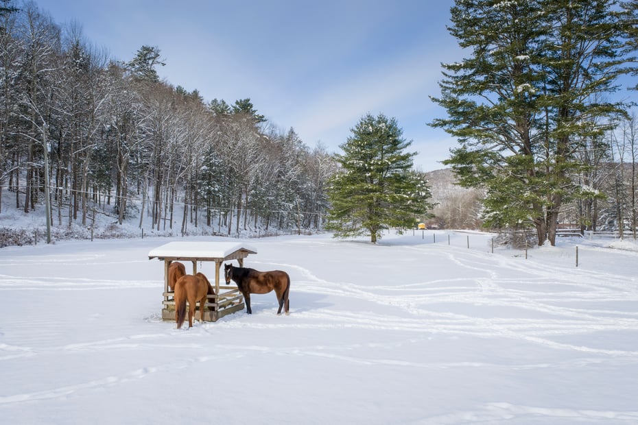 390 Erpf Road Photo 58