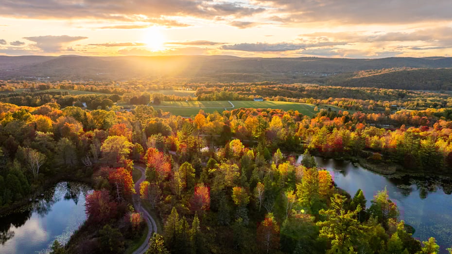 104 North Garden Drive Photo 5