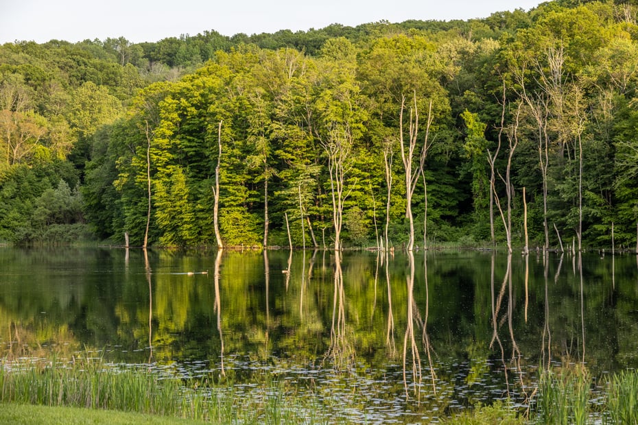 104 North Garden Drive Photo 4