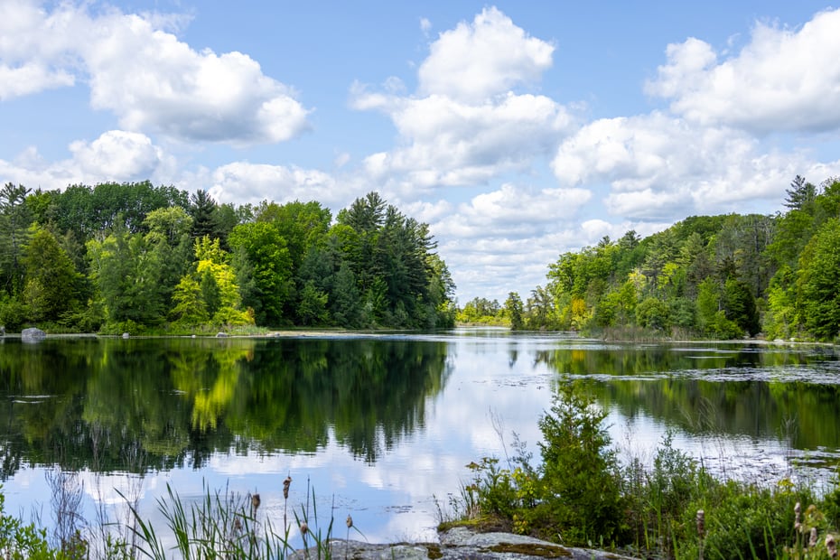 104 North Garden Drive Photo 22