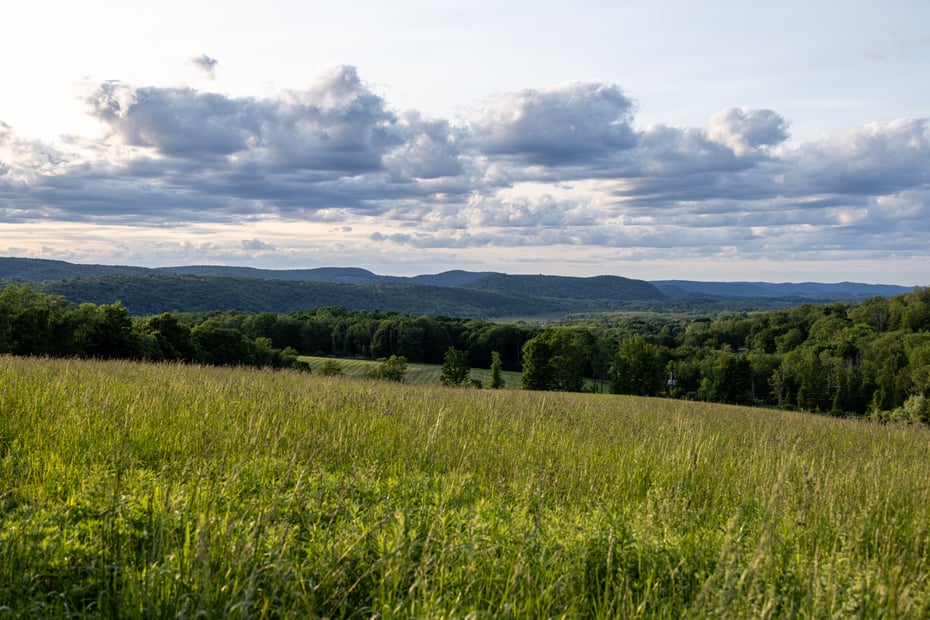 104 North Garden Drive Photo 44