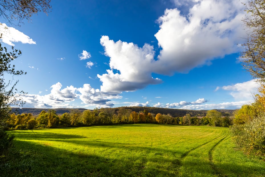 104 North Garden Drive Photo 43