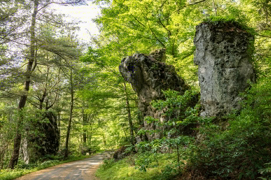 104 North Garden Drive Photo 23