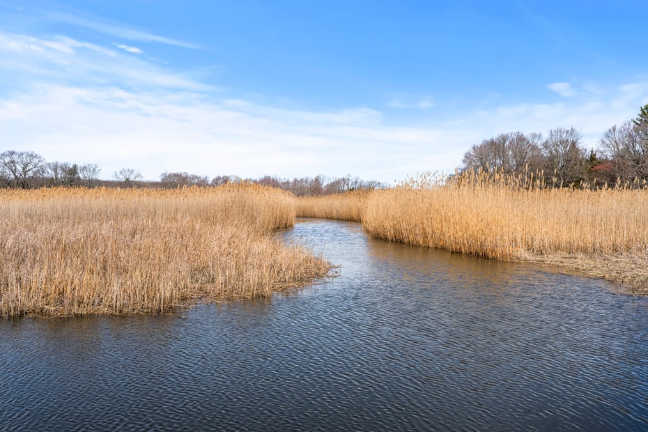 60 Lyme Street Photo 34