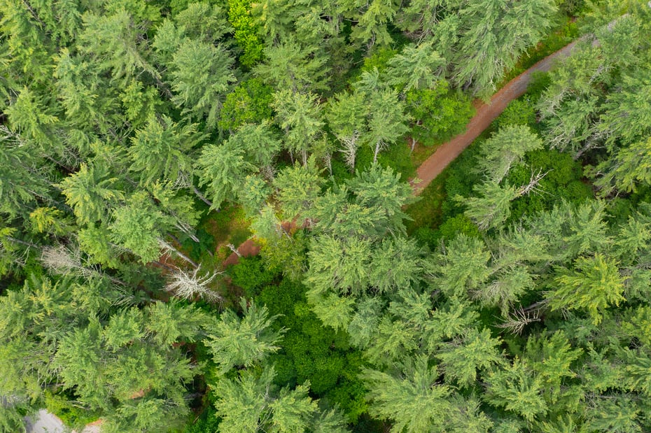 50 Popple Swamp Road Photo 3