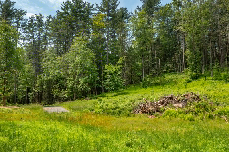 50 Popple Swamp Road Photo 8