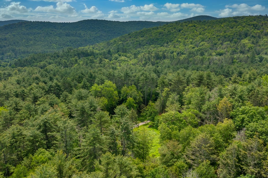 50 Popple Swamp Road Photo 12