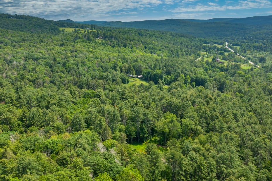 50 Popple Swamp Road Photo 13