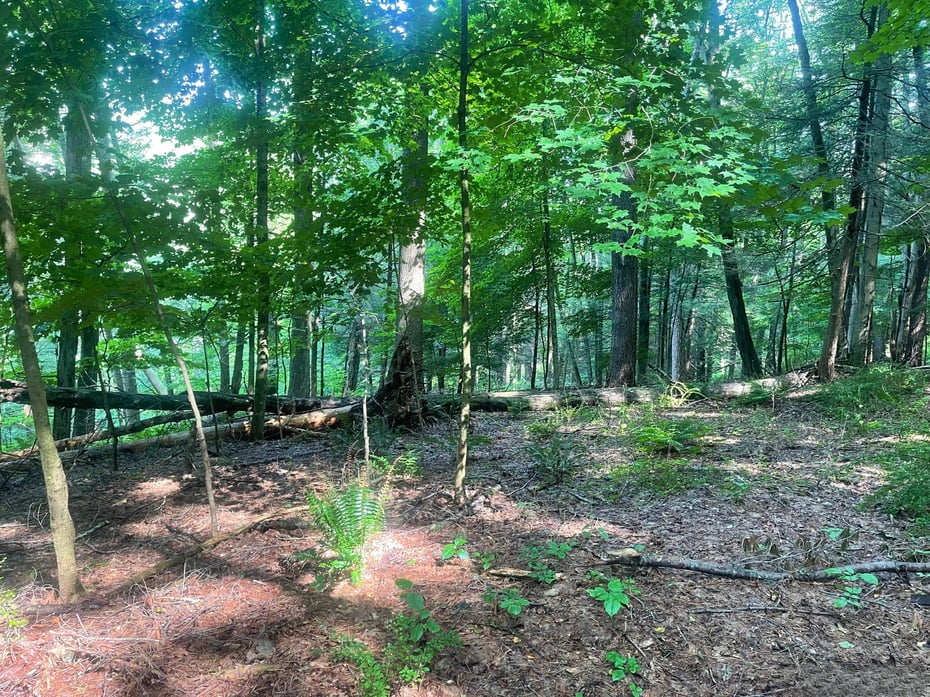 Railroad Street Photo 1