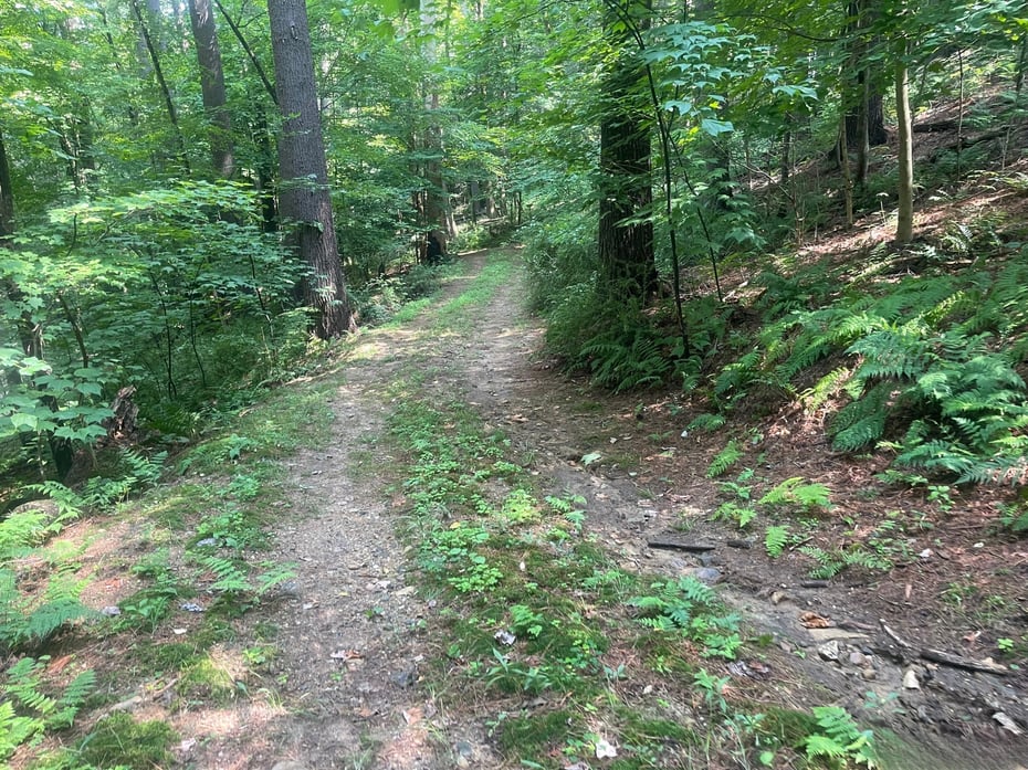 Railroad Street Photo 3