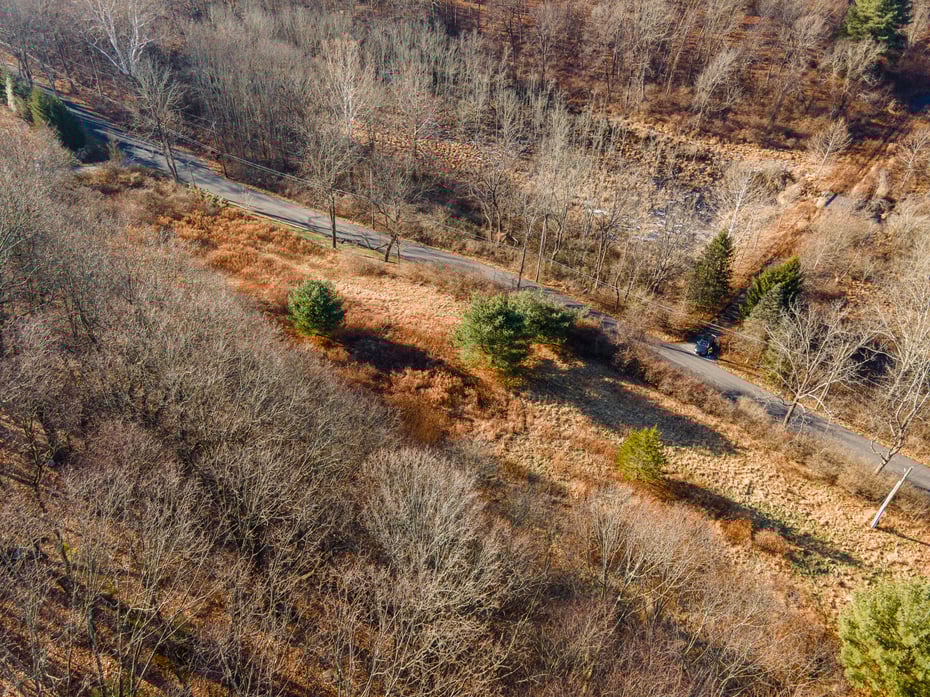 10 Sarles Street Photo 4