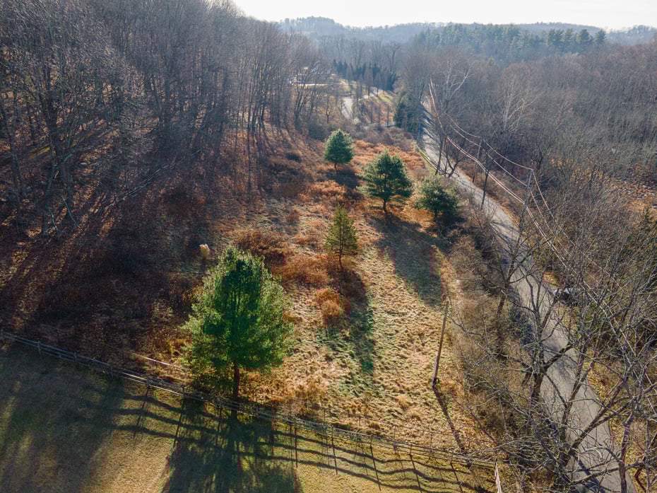 10 Sarles Street Photo 2