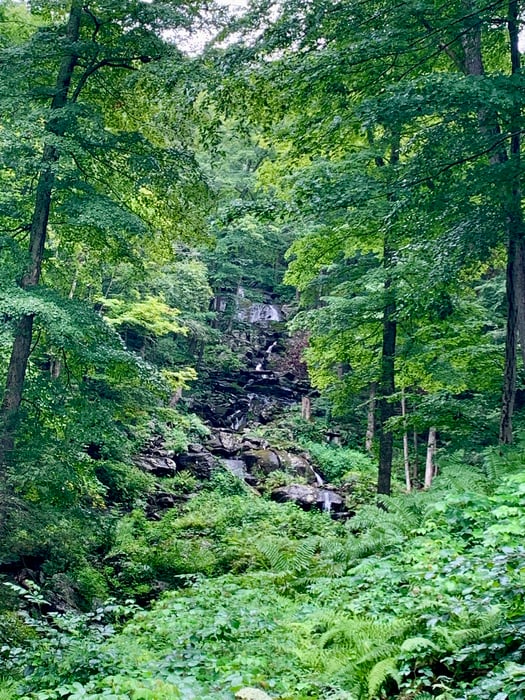 23 Mauwee Brook Road Photo 3