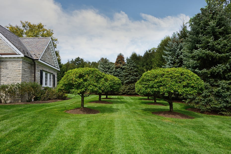 21 Lincoln Lane Photo 33