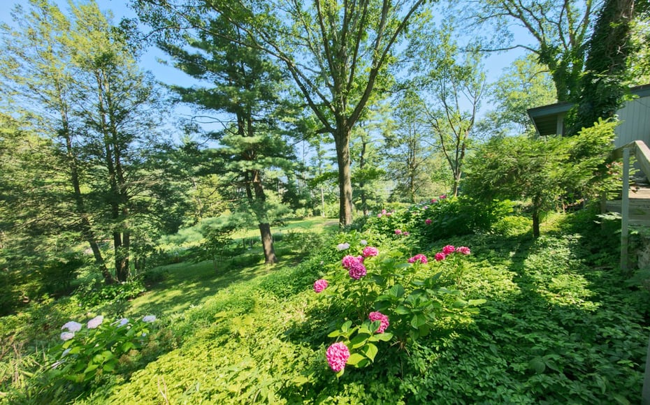 35 Saxon Woods Road Photo 12