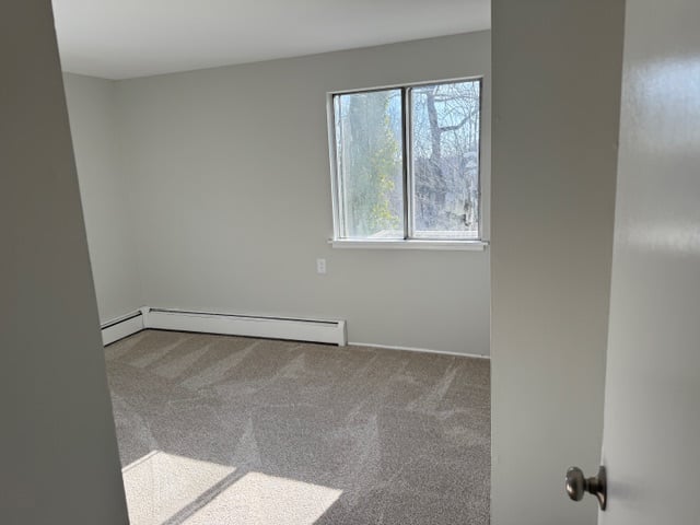7 Mcallister Avenue  #2 Photo 22