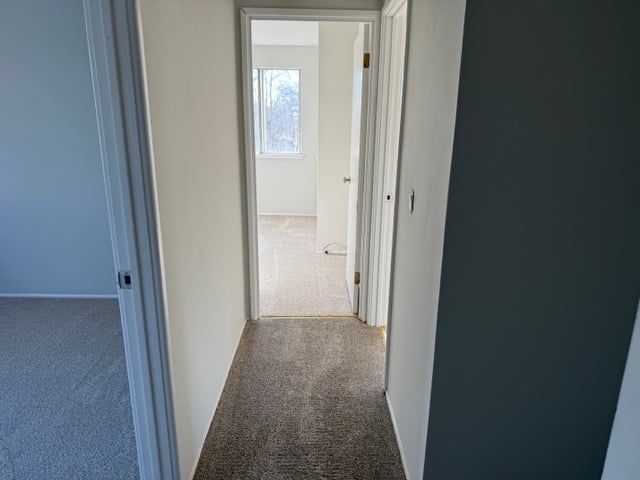 7 Mcallister Avenue  #2 Photo 5