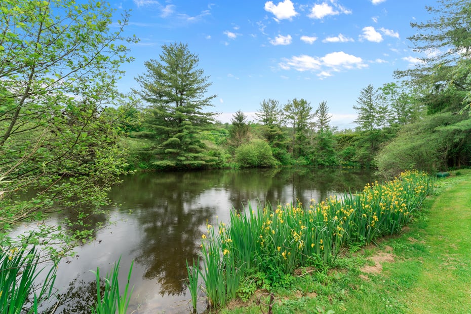 9 Jewell Street Photo 27