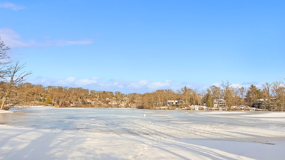 29 Carol Street Photo 34