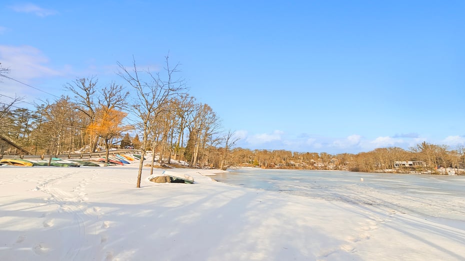 29 Carol Street Photo 35