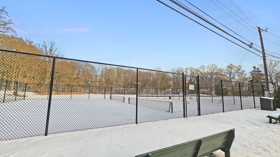 29 Carol Street Photo 36