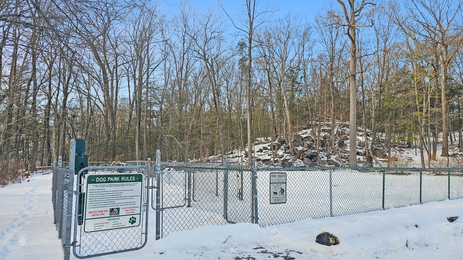 29 Carol Street Photo 37