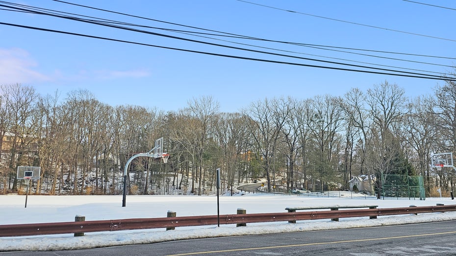 29 Carol Street Photo 38