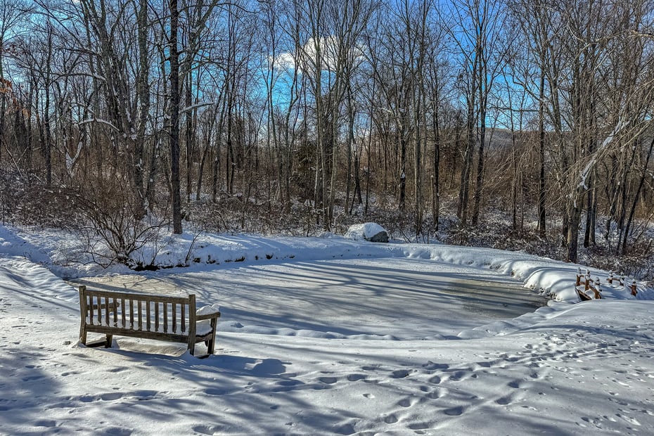 46 Spooner Hill Road Photo 35