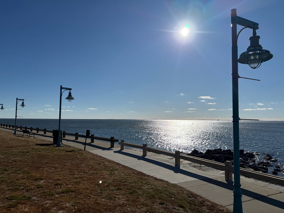 78 Rowsley Street  #4 Photo 4