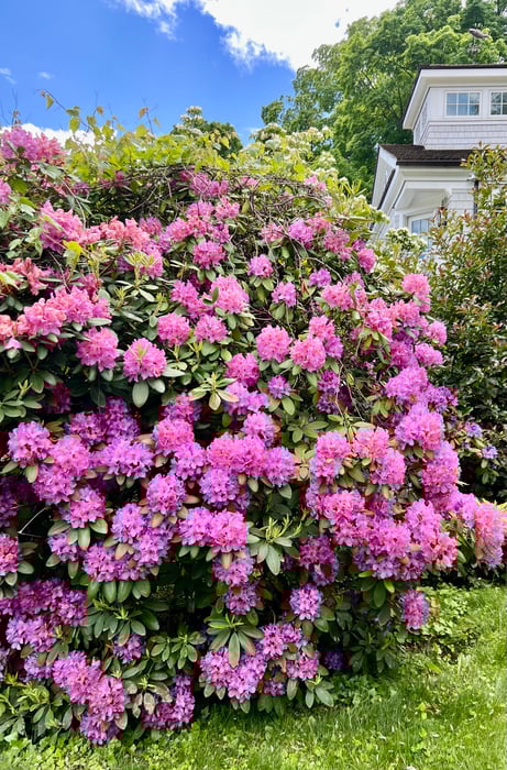 88 Five Mile River Road Photo 31