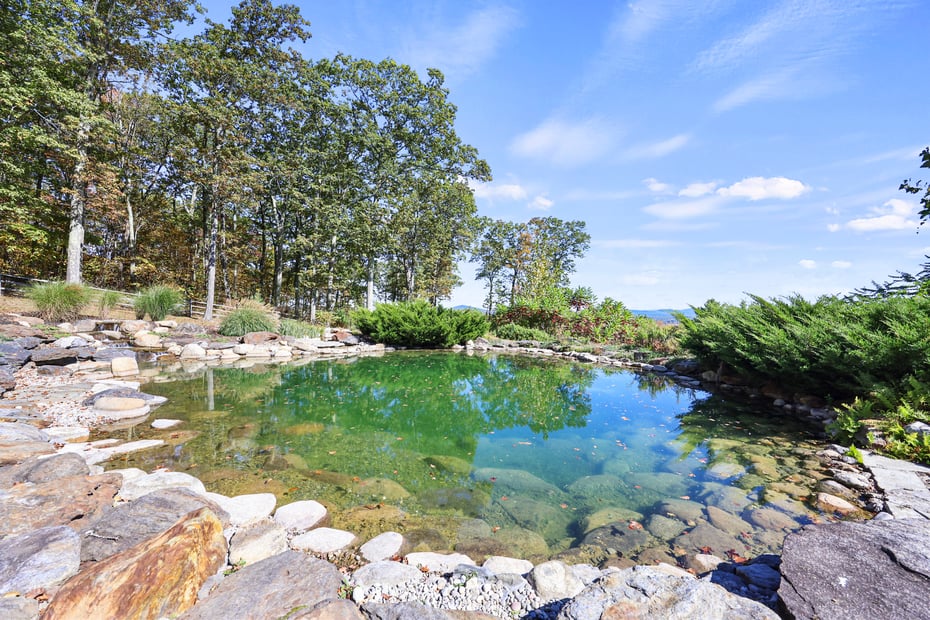 36 Millard Rd Photo 26