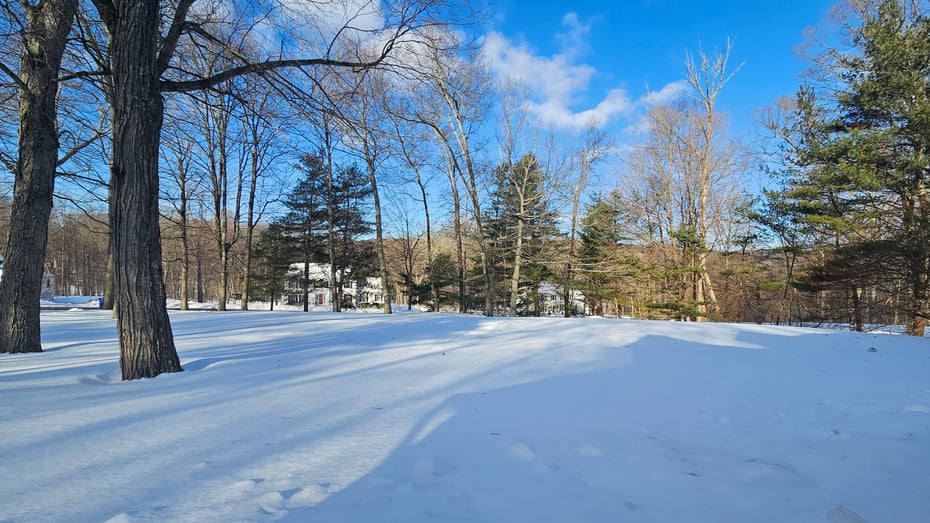 183 Coachmans Drive Photo 44