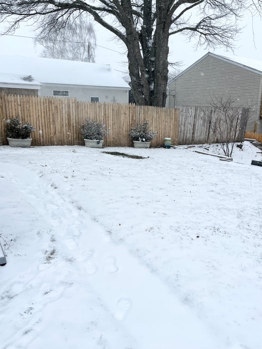 106 Horace Street Photo 17