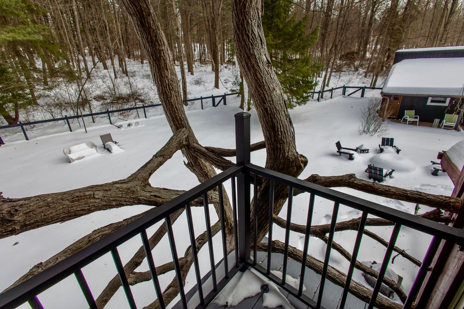 37 Williams Road Photo 37