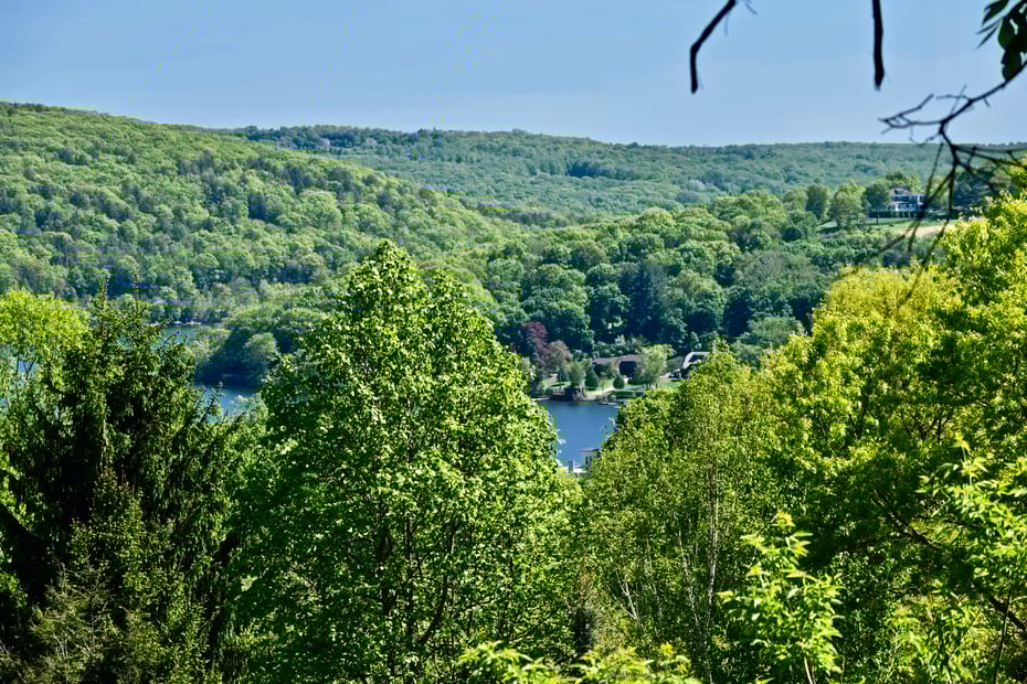 51 Curtiss Road Photo 18