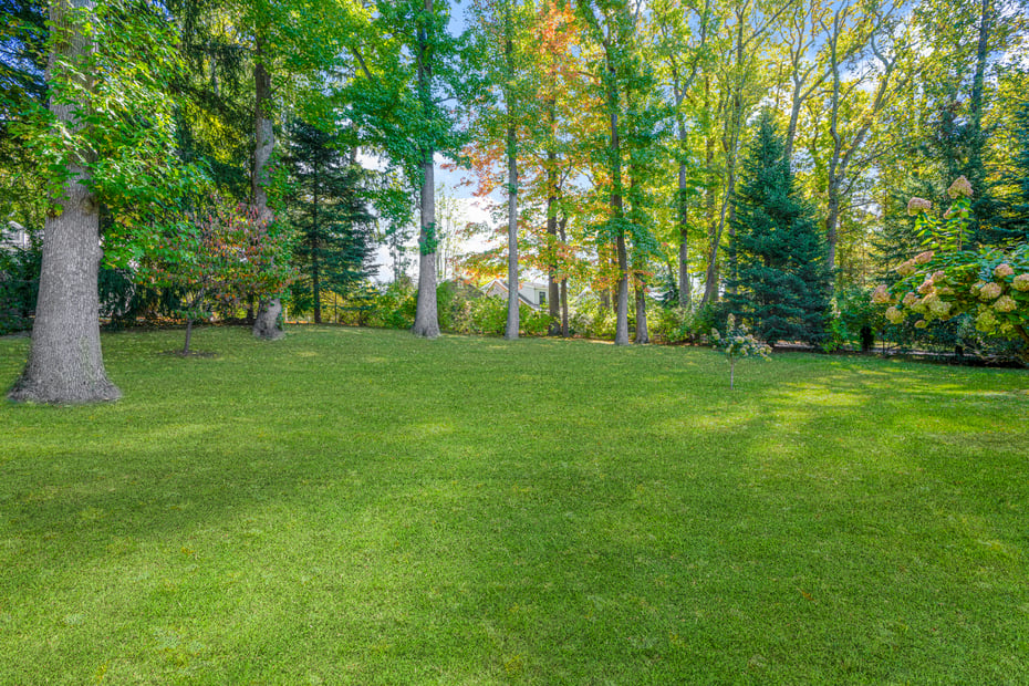 37 Barlow Lane Photo 28